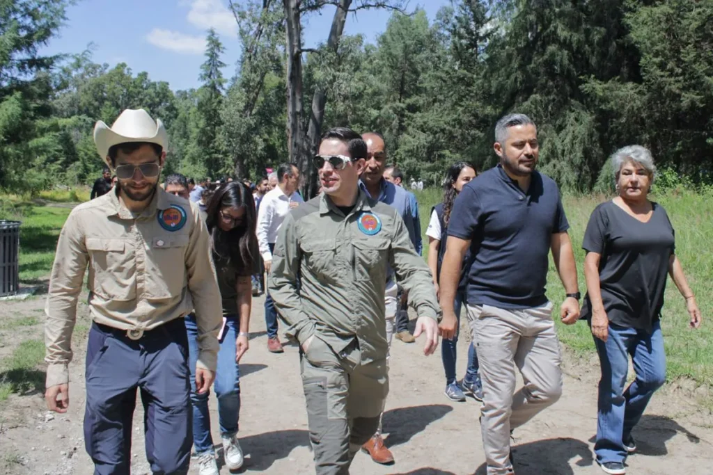 bosque del ajolote que encontrar 1 ezgif.com jpg to webp converter