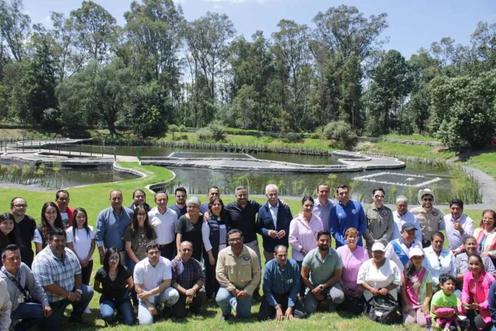 bosque del ajolote qué encontrar