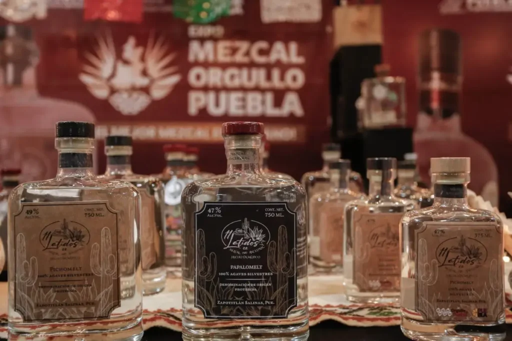 Descubre la Expo Mezcal 2024 en Puebla: Fechas, horarios y actividades
