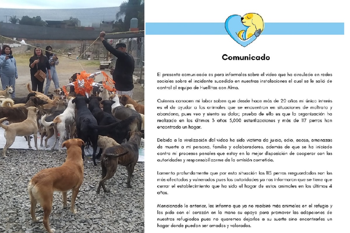 (VIDEO) Jauría devora a perrito en el refugio 'Huellitas con Alma' en Cholula; cerrarán el albergue 1 huellitas con alma cerrara
