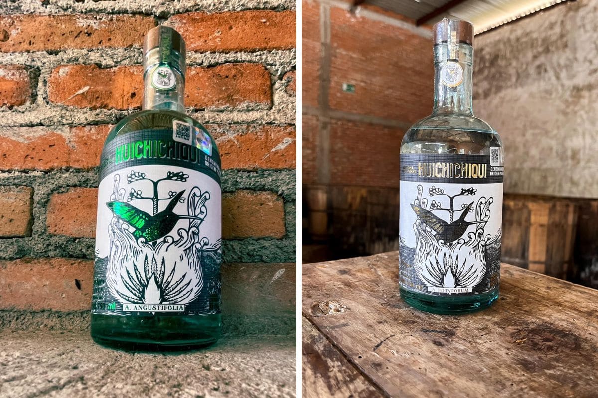 Este mezcal de Puebla premiado internacionalmente se exportará a Alemania 1 mezcal de Puebla Huichichiqui