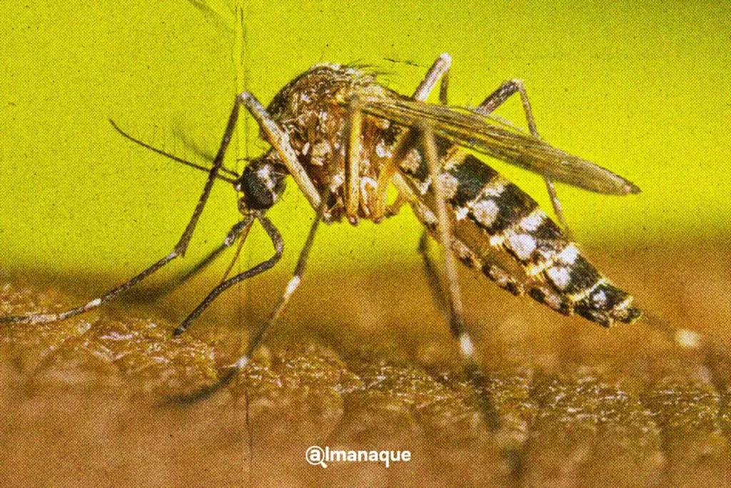 municipios de puebla con más casos de dengue