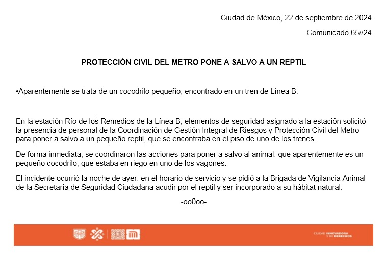 Encuentran un cocodrilo en el Metro de la CDMX
