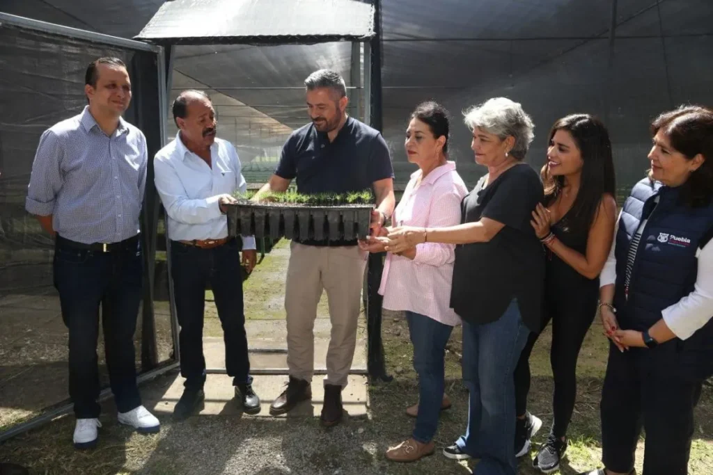 segunda etapa bosque del ajolote puebla 1 ezgif.com jpg to webp converter