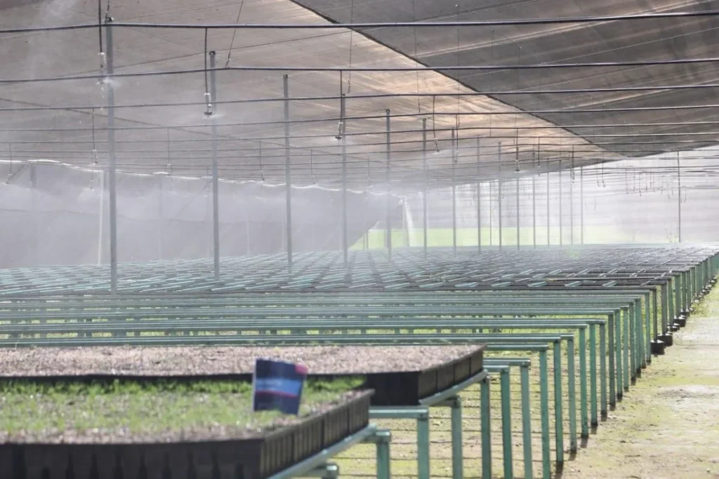 segunda etapa bosque del ajolote puebla 2 ezgif.com jpg to webp converter