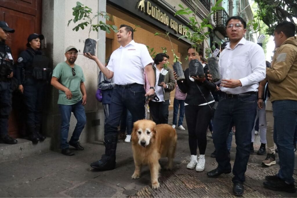 TEEP desecha denuncia contra Alejandro Armenta