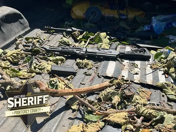 Tiroteo en California deja 81 animales muertos: Detienen a hombre por el ataque 3 Tiroteo en Estados Unidos deja 81 animales muertos: Detienen a hombre por el ataque
