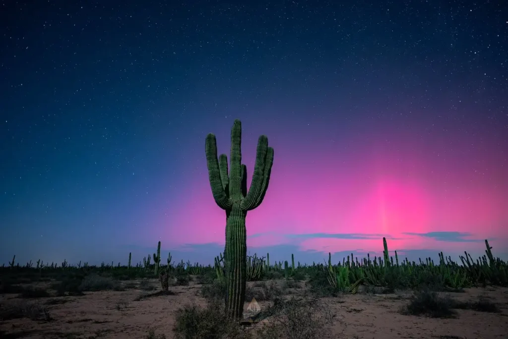 Así se vieron las impresionantes auroras boreales en el norte de México