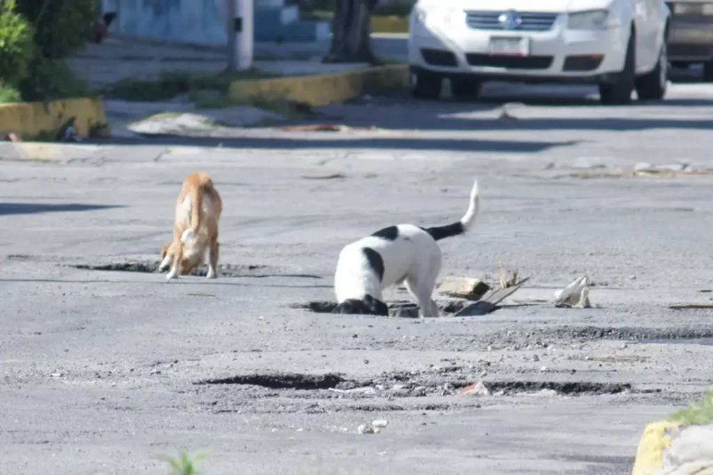 Bachetón en San Pedro Cholula Así puedes reportar tu calle