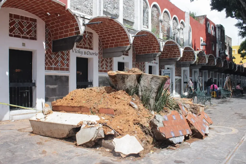 Costará 12 mil pesos retirar árbol que cayó en el Barrio del Artista  