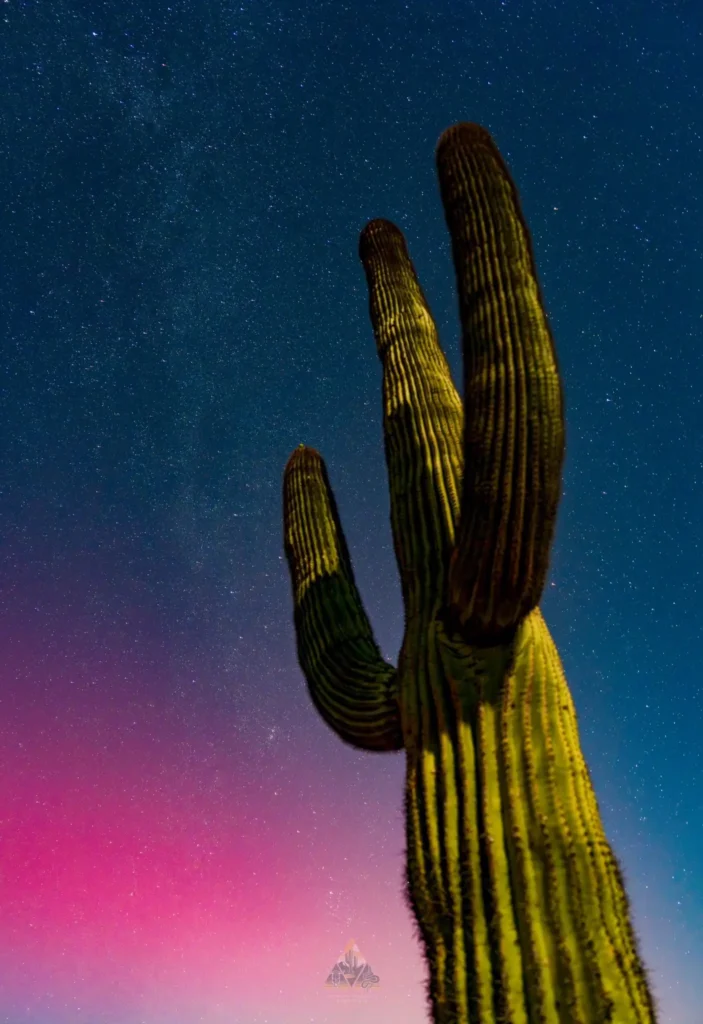 Estos son los riesgos de una tormenta solar