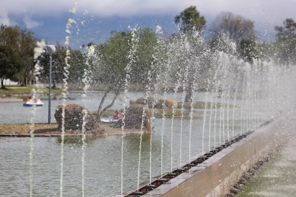 Cámaras, luminarias, fuentes y mejora de la alberca: la rehabilitación del Parque Ecológico