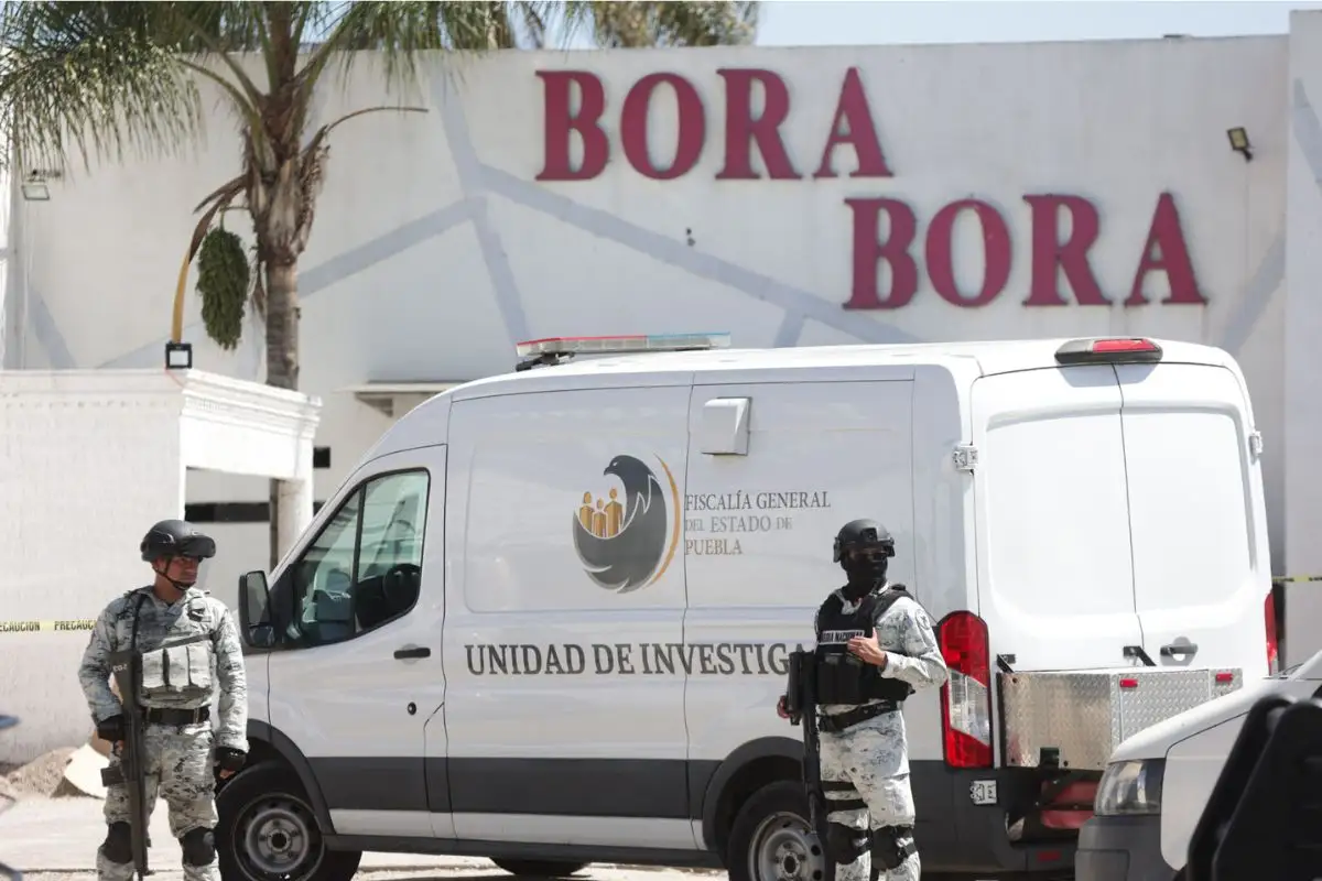 Cateo en el bar Bora Bora: Con excavadoras, Fiscalía de Puebla busca personas desaparecidas 1 Cateo en el bar Bora Bora: Con excavadoras, Fiscalía de Puebla busca personas desaparecidas