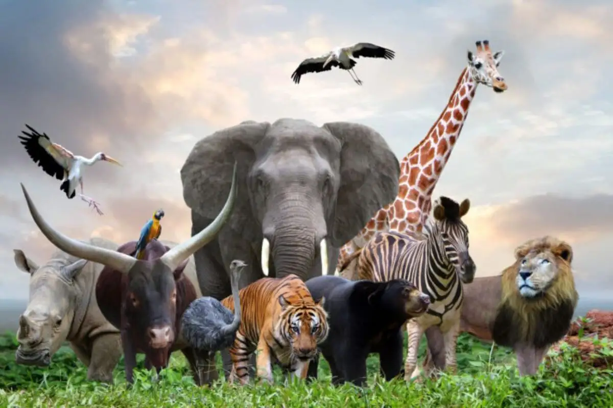 Día Mundial de los Animales ¿Por qué se celebra y cuándo es? 1 Día Mundial de los Animales ¿Por qué se celebra y cuándo es?