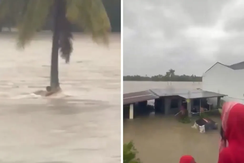 Hombre se aferra a una palmera para evitar ser llevado por la corriente en Filipinas