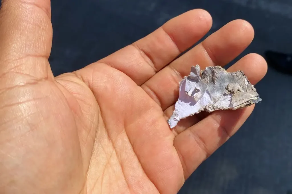 Jugadores lanzan petardo a la sala de prensa de Chivas