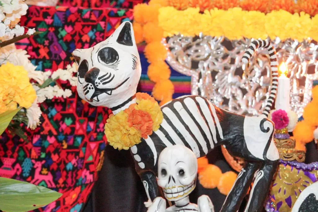 ofrenda palacio municipal corredor 6