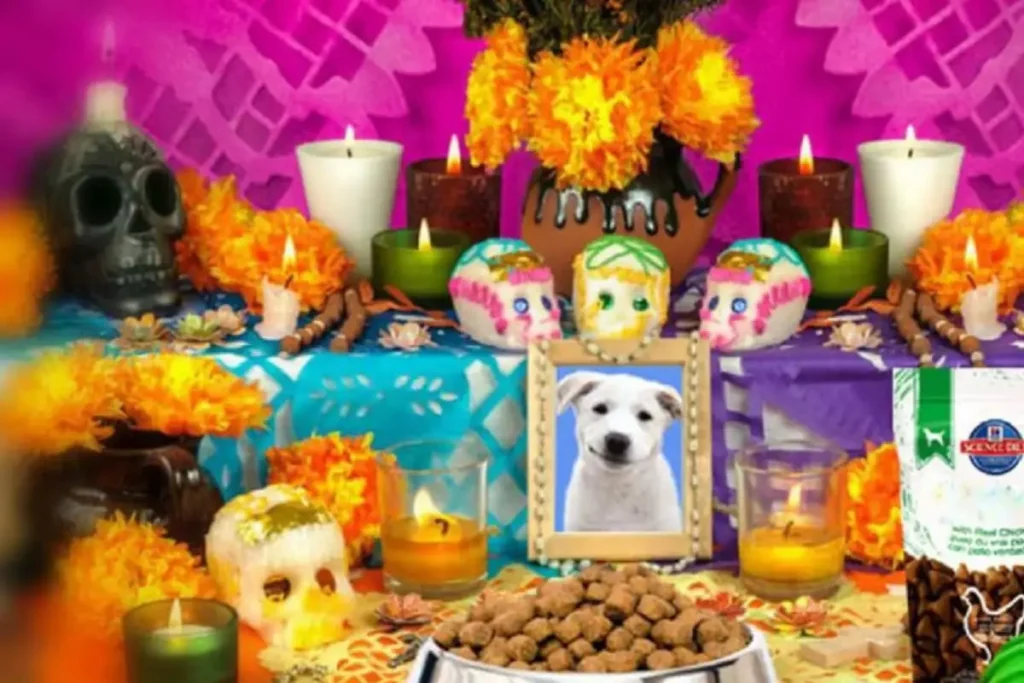 ¿Cuándo se pone la ofrenda para las mascotas en el Día de Muertos en México?