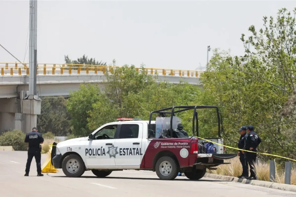 Muere poblana atropellada en la carretera Panamericana; la identifican como Ana Laura