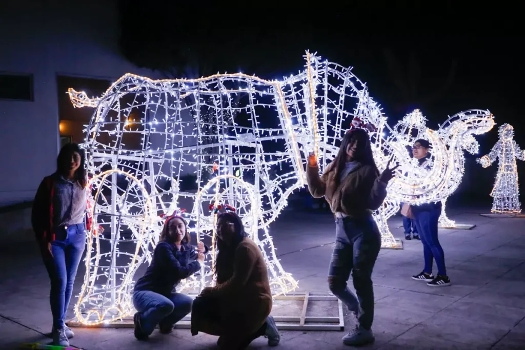 BUAP Encendido Arbol Navideno 3