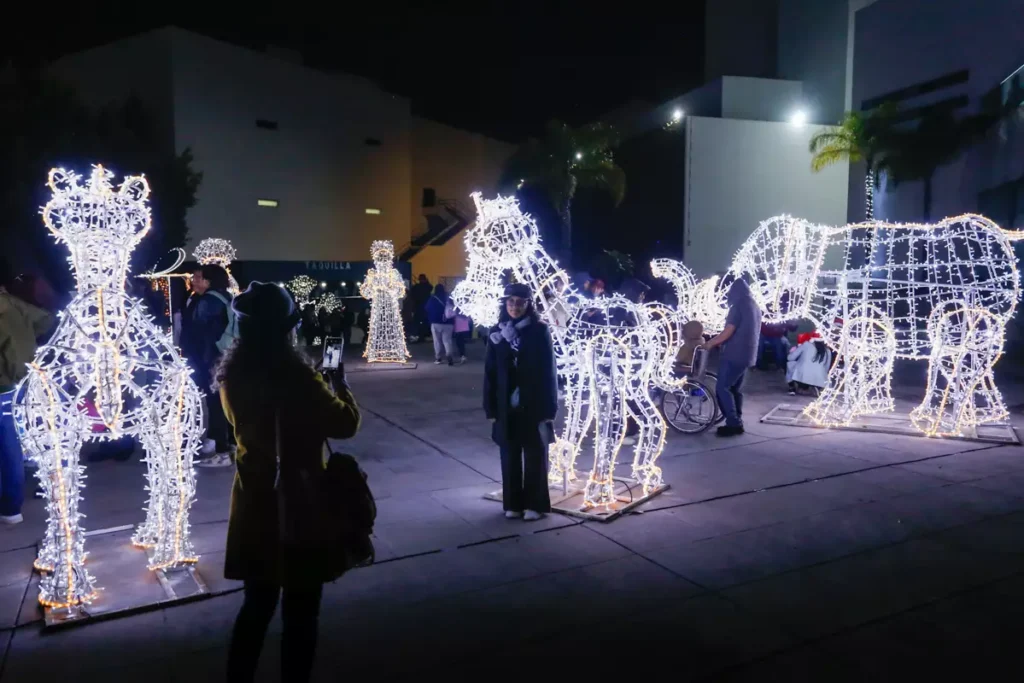 BUAP Encendido Arbol Navideno 6