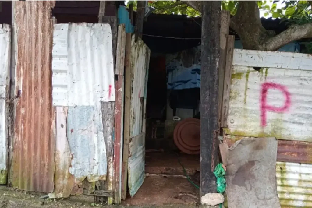 Desalojan a madre e hijo con discapacidad en Coatzacoalcos por avances del tren interoceánico 2 Desalojan a madre e hijo con discapacidad en Coatzacoalcos por avances del tren interoceánico