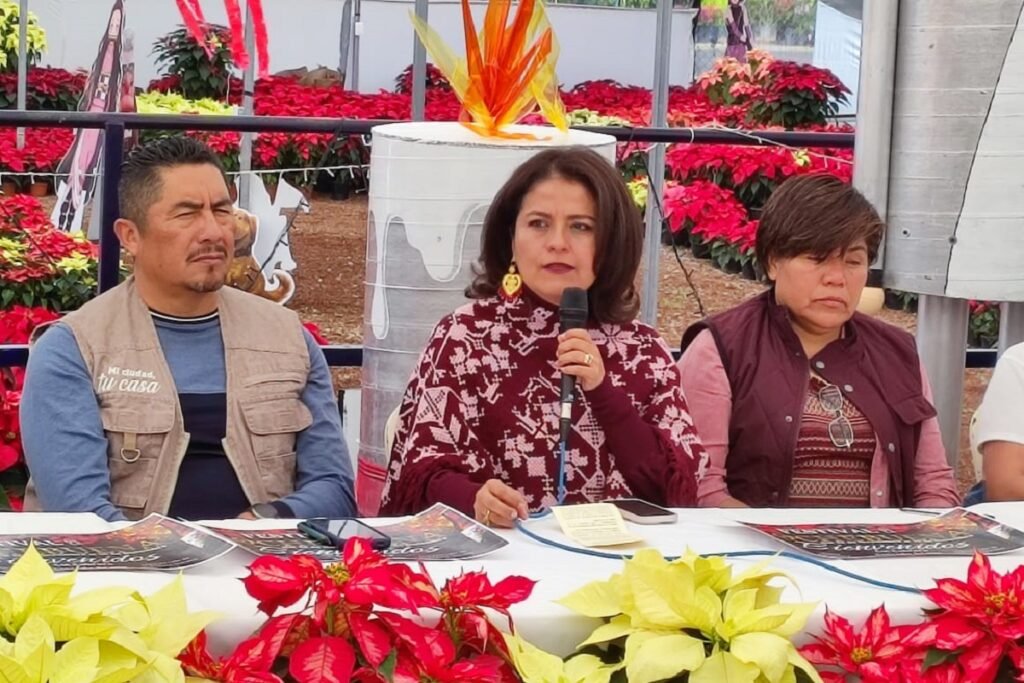 Impulsan en el Congreso temporada de flor de Nochebuena, en el municipio de Atlixco