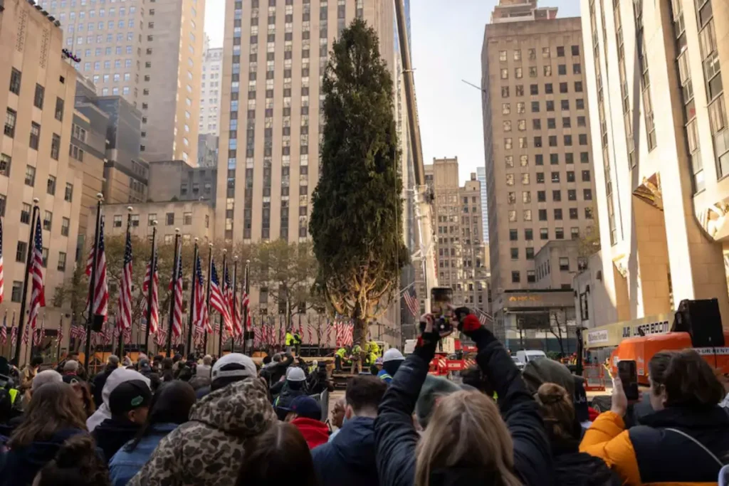 Árbol de Navidad del Rockefeller ya llegó ¿cuándo será iluminado?