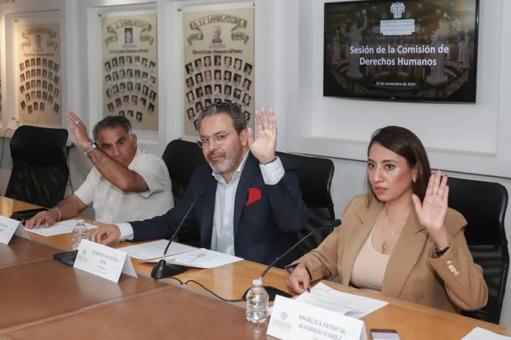 ¿Quieres formar parte del Consejo Consultivo de la CDH Puebla? Esta es la convocatoria