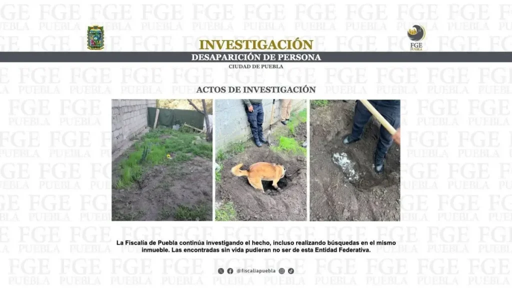 Encuentran cuatro cuerpos en fosa clandestina en Puebla: FGE