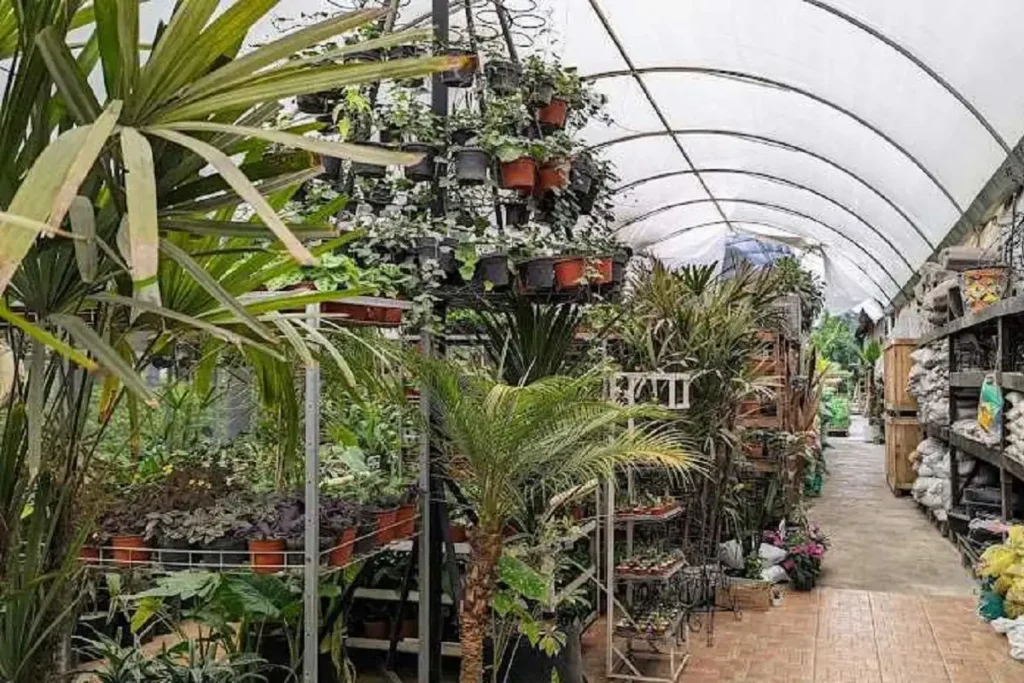 Dónde están los invernaderos en la ciudad de Puebla