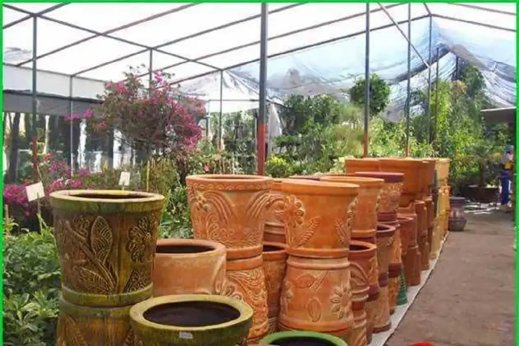 Dónde están los invernaderos en la ciudad de Puebla