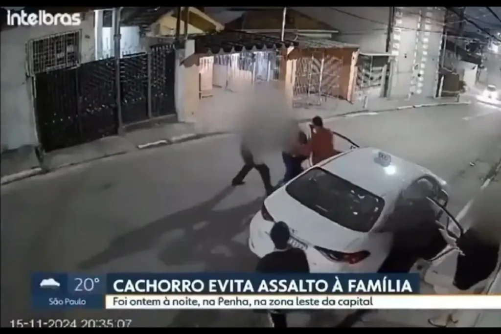 Pitbull ataca a ladrones y evita robo de un auto en Brasil
