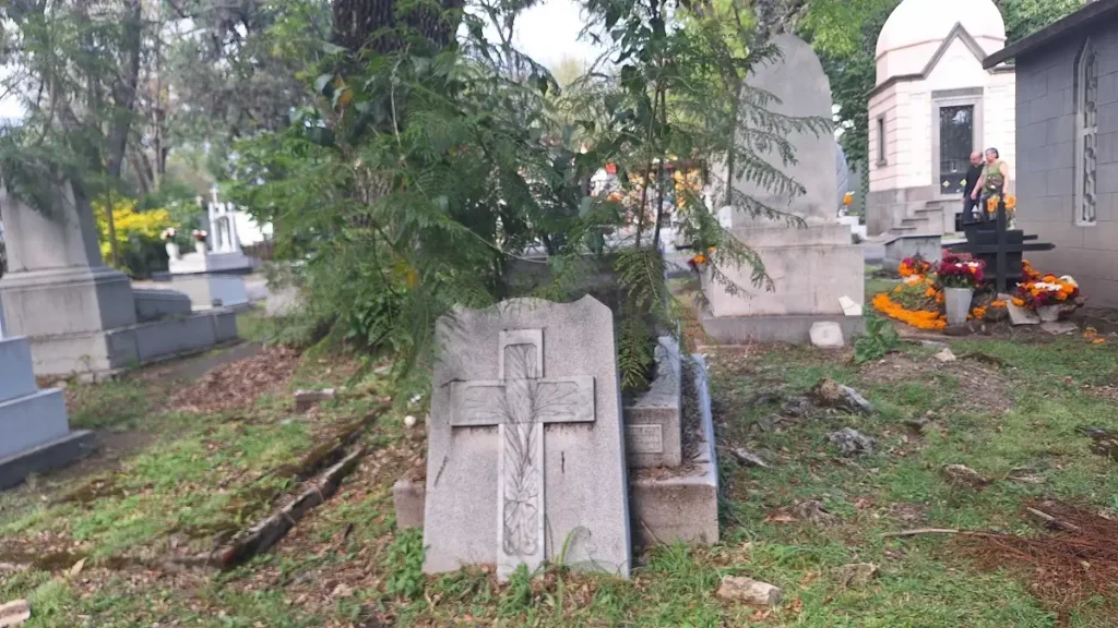 Fotoreportaje: ¿Qué pasa con las tumbas olvidadas en los panteones de Puebla en Día de Muertos? 3 tumbas olvidadas en los panteones de puebla 2