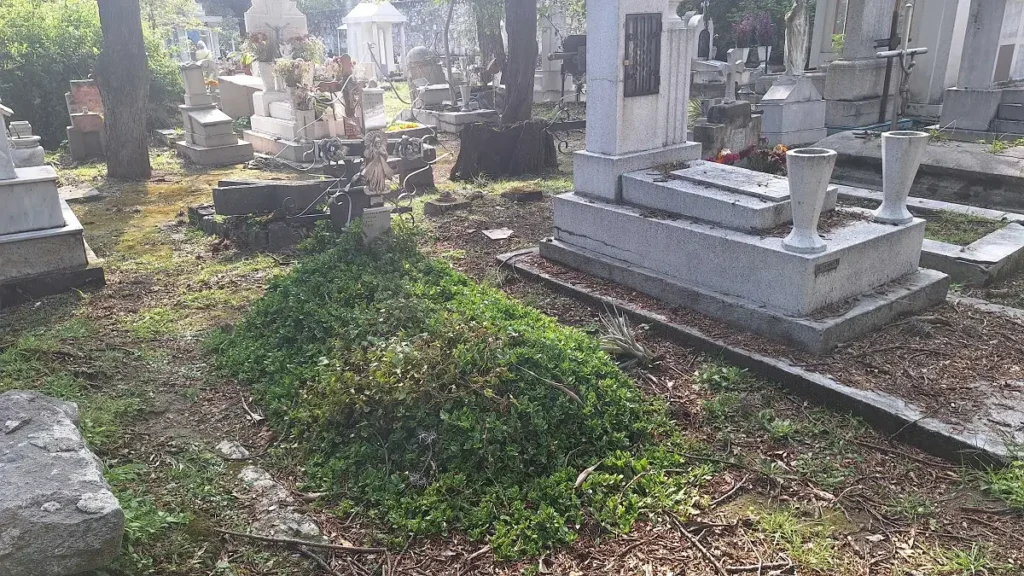 Fotoreportaje: ¿Qué pasa con las tumbas olvidadas en los panteones de Puebla en Día de Muertos? 5 tumbas olvidadas en los panteones de puebla 4