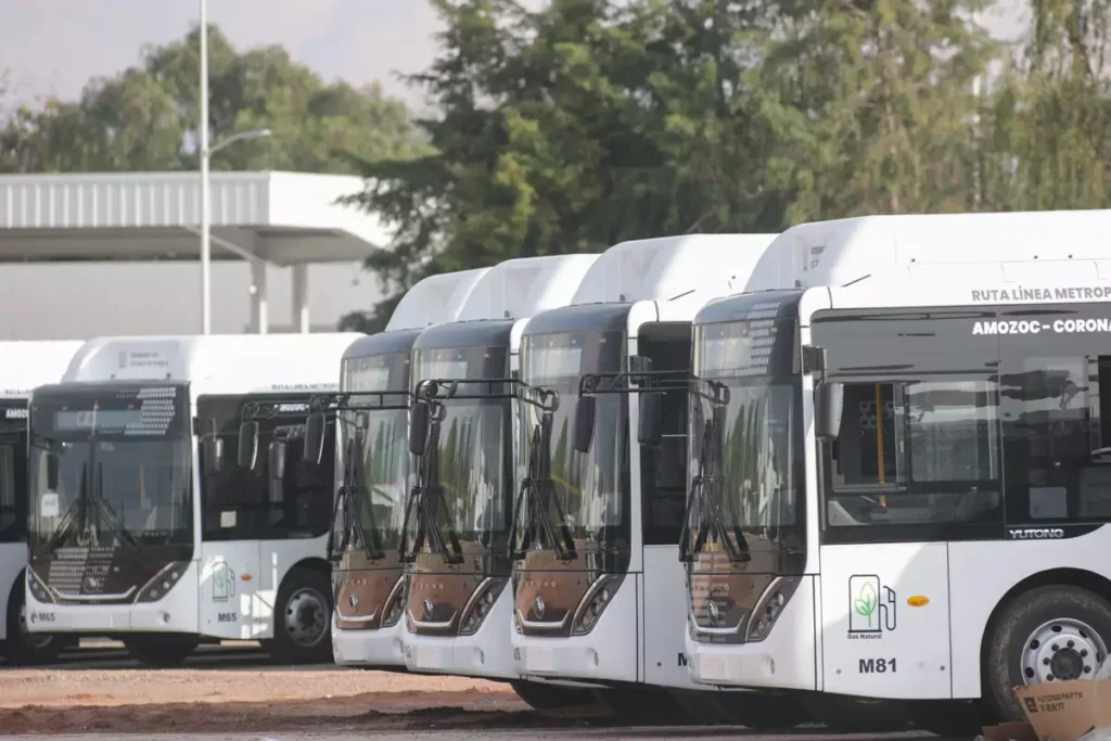 autobuses de la Línea Metropolitana de RUTA