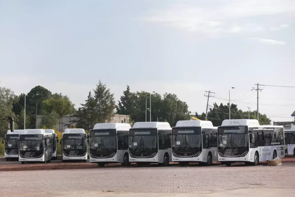 Autobuses de la Línea Metropolitana de RUTA