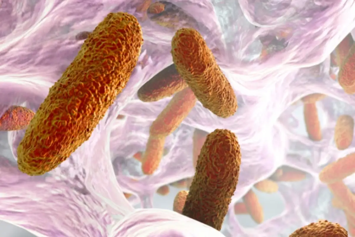 Secretaría de Salud señala posibles casos de la bacteria Klebsiella oxytoca en Michoacán y Guanajuato