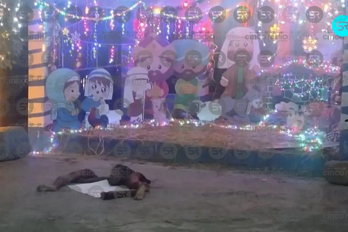 abandonan cuerpo desmembrado en un nacimiento navideño