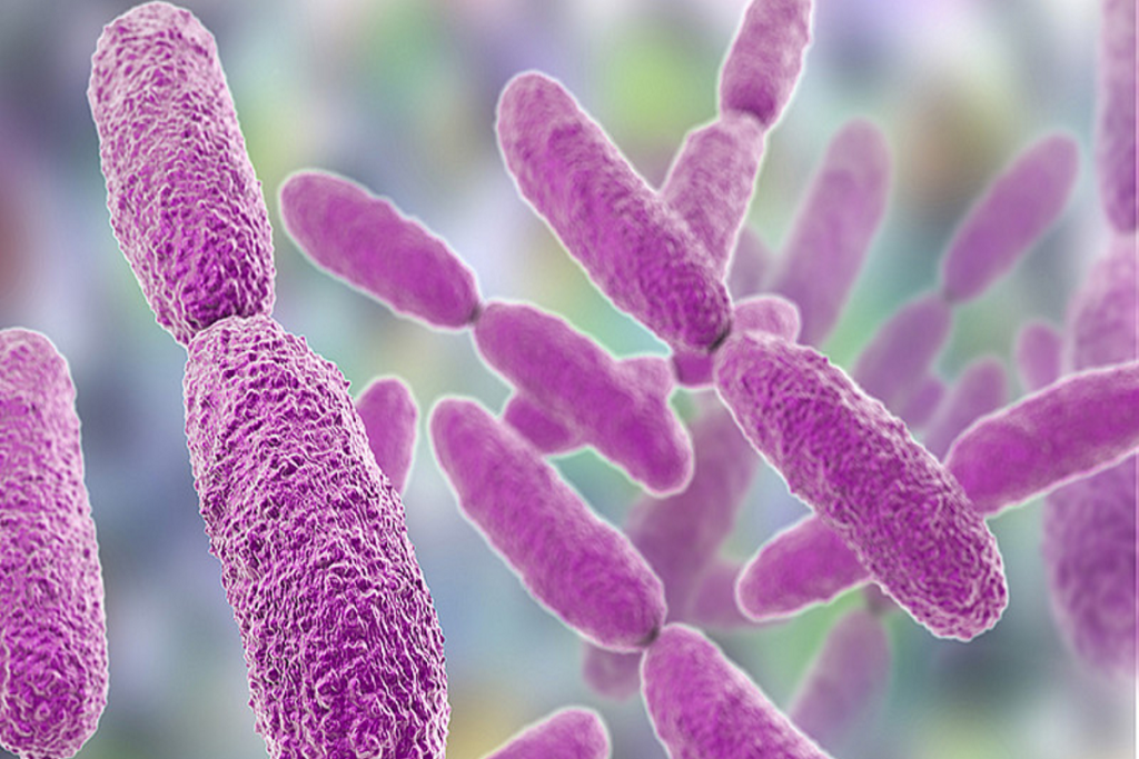 ¿Qué es la bacteria Klebsiella oxytoca? Emiten alerta epidemiológica en Edomex