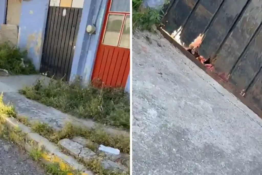 Mujer pide ayuda en detrás de un portón en casa de la colonia Los Ángeles Mayorazgo