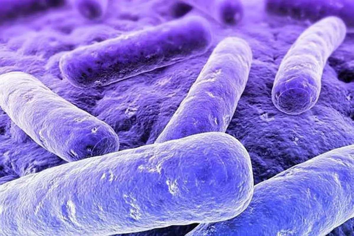 Mueren 13 Niños En Edomex Por Bacteria Klebsiella Oxytoca