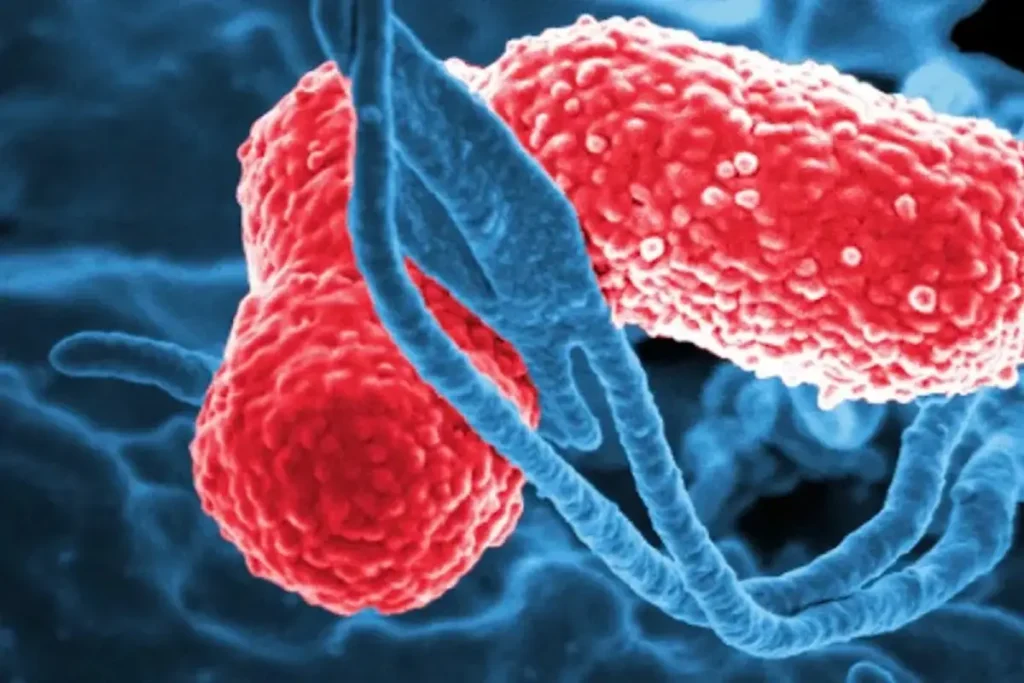 ¿Qué es la bacteria Klebsiella oxytoca Emiten alerta epidemiológica en Edomex