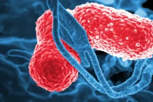 ¿Qué es la bacteria Klebsiella oxytoca Emiten alerta epidemiológica en Edomex