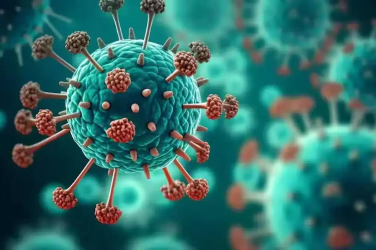 Confirman más de 150 casos del virus HMPV en Sinaloa 1 Confirma más de 150 casos del virus HMPV en Sinaloa
