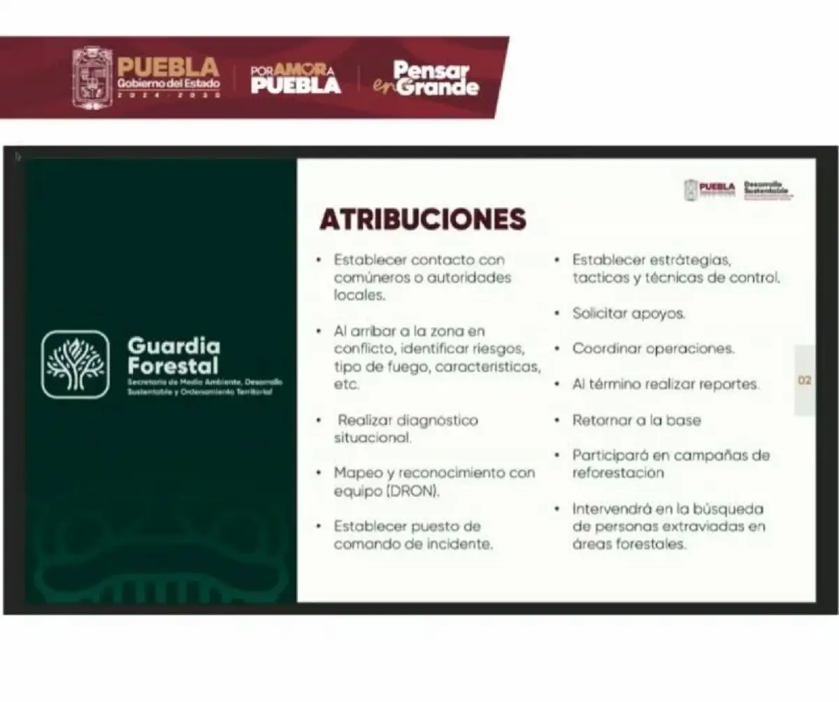 Anuncian la creación de Guardia Forestal de Puebla: ¿Cuáles serán sus funciones? 3 Anuncian la creación de Guardia Forestal de Puebla ¿Cuáles serán sus funciones