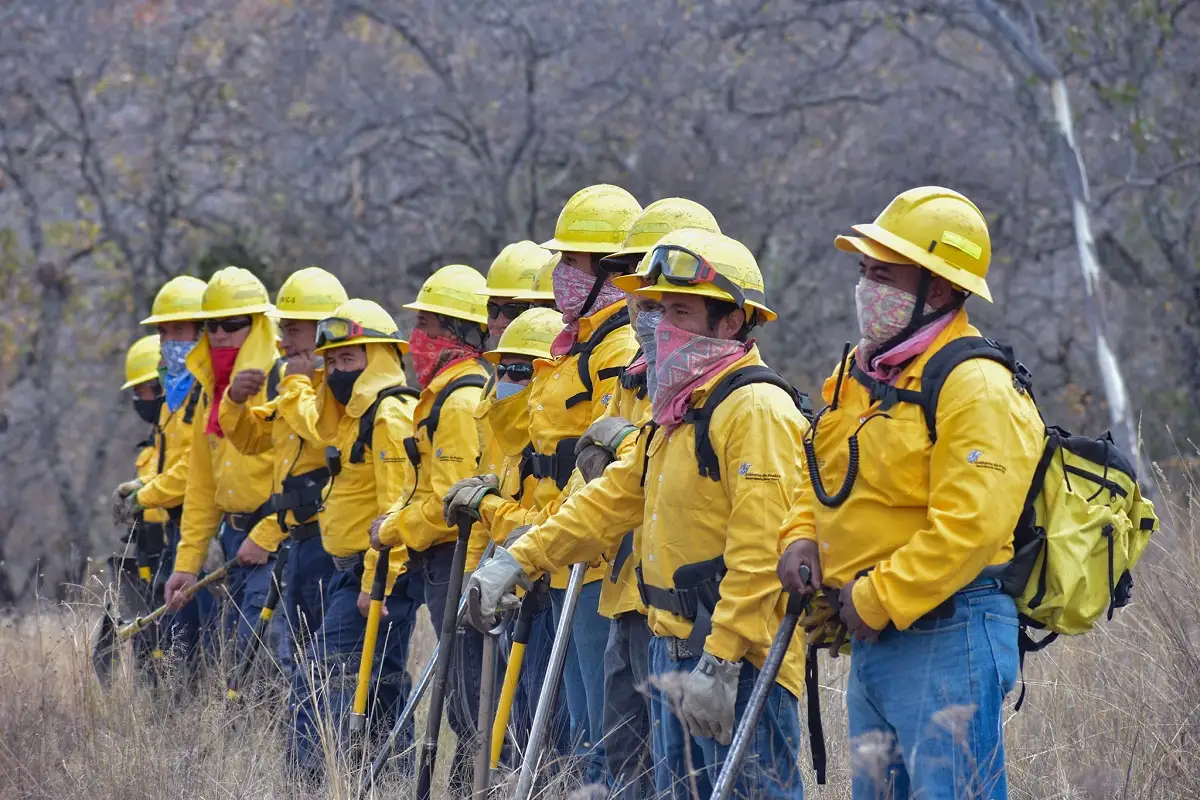 Anuncian la creación de Guardia Forestal de Puebla: ¿Cuáles serán sus funciones? 1 Anuncian la creación de Guardia Forestal de Puebla: ¿Cuáles serán sus funciones?