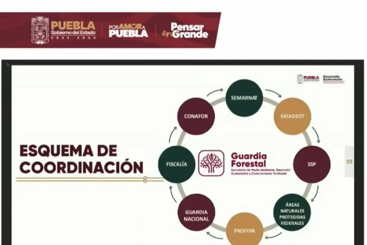Anuncian la creación de Guardia Forestal de Puebla: ¿Cuáles serán sus funciones? 2 Anuncian la creación de Guardia Forestal de Puebla ¿Cuáles serán sus funciones