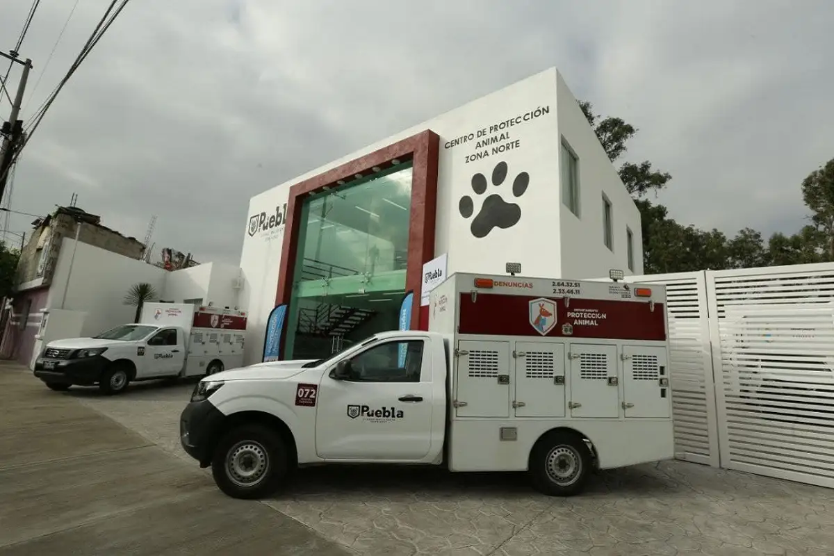 Centro de protección animal de la China Poblana se rehabilitará con 6 mdp 1 Centro de protección animal de la China Poblana