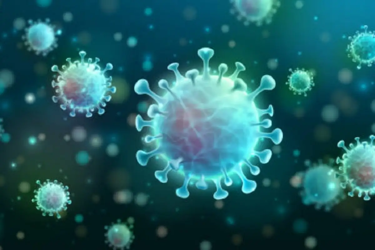 Confirman primer caso y muerte por Metapneumovirus humano en Puebla 1 Confirman primer caso del Metapneumovirus humano en Puebla